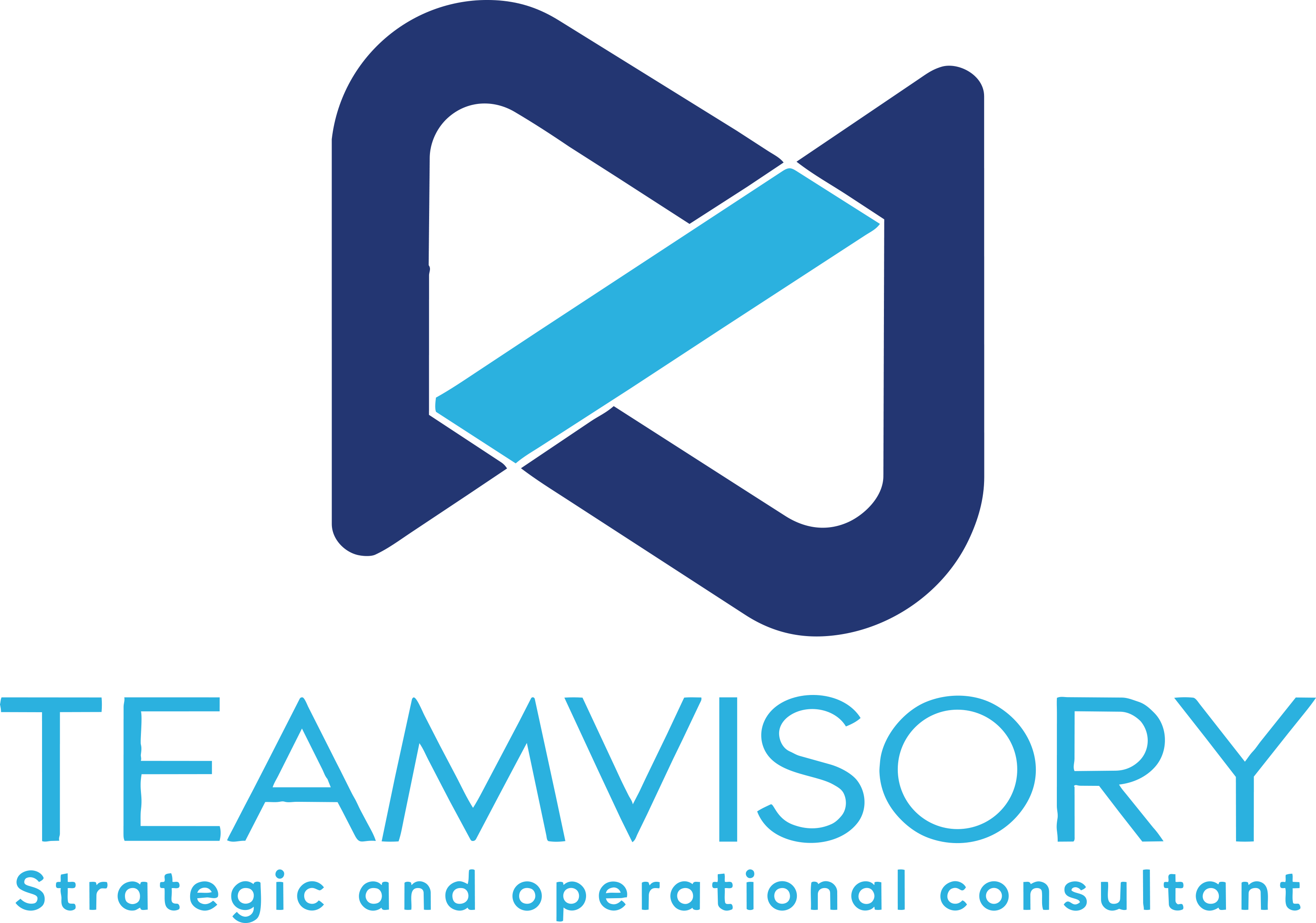 Teamvisory — Strategic and operational consultant